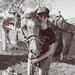 Profile Picture of Isabelle Boyd (@izzyboyd12) on Pinterest