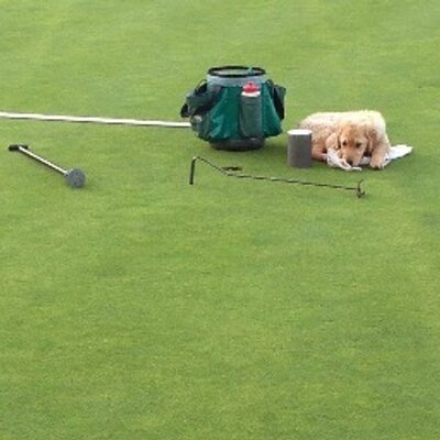 Profile Picture of Matthew Beckman (@Beckmanmr) on Twitter