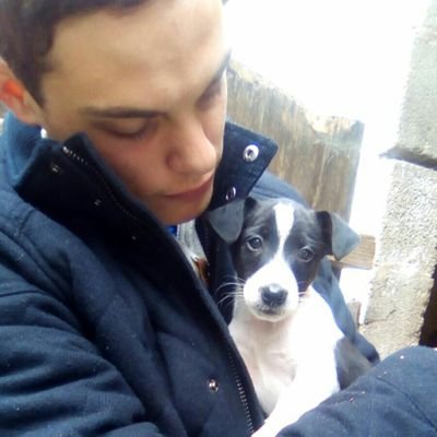 Profile Picture of James Downey (@JamesDowney92) on Twitter