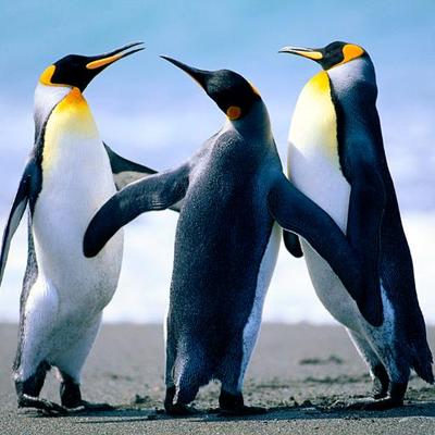 Profile Picture of Andrew Sulser (@andrew_sulser) on Twitter