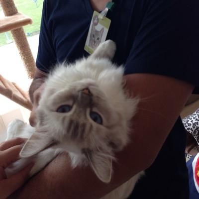 Profile Picture of Renz Daryl Gomez (@igorenz) on Twitter