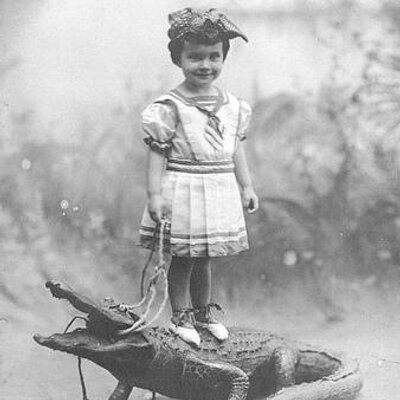 Profile Picture of Steve Cardoza (@orange_porch) on Twitter