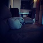 Profile Picture of Rina Uljevic (@uljevicrina) on Instagram