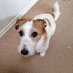 Profile Picture of Margaret Langston (@langston.margaret) on Instagram