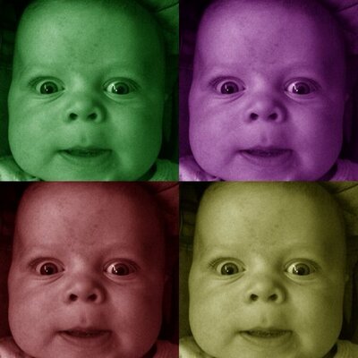 Profile Picture of Brendan Gundersen (@gundo11) on Twitter