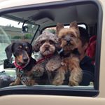 Profile Picture of Leah Milton (@milton.leah) on Instagram