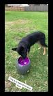 Profile Picture of   BS20(@bsober20) | TikTok (@bsober20) on Tiktok
