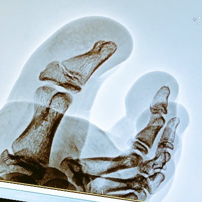 Profile Picture of Stephen Leonardo (@MoesSalsa) on Twitter