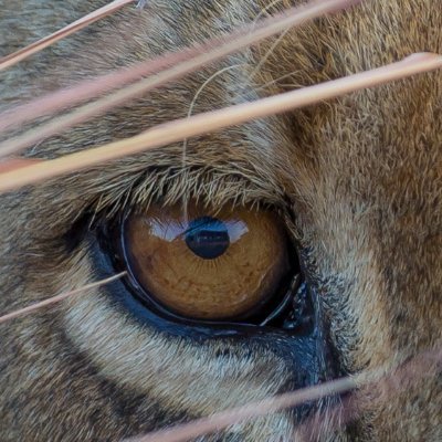 Profile Picture of Tobias Anderson (@tobimayzter) on Twitter