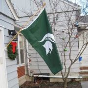 Profile Picture of Lisa Schermer (@greeenandwhite) on Pinterest