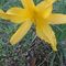 Profile Picture of Ruth Stratton (@ruth.stratton.336) on Facebook