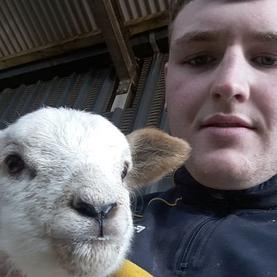 Profile Picture of Conor McElligott (@McelligottCono1) on Twitter