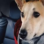 Profile Picture of Mark Helburn (@Mark-Helburn) on Facebook