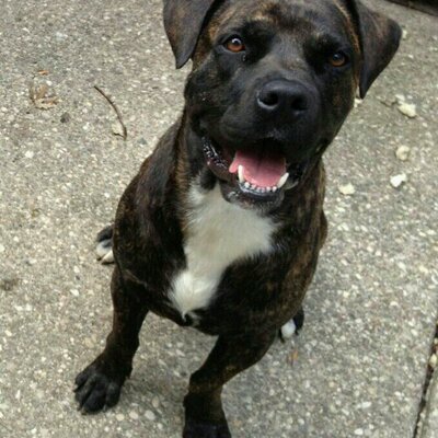 Profile Picture of Michael MacIntyre (@mac_ten_44) on Twitter