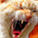 Profile Picture of Jim Noble (@hoosiernoble) on Flickr