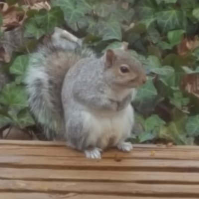 Profile Picture of Tom Dunham (@ham_cooked) on Twitter