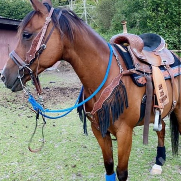 Profile Picture of Gwen Karelsen (@gwenkarelsen20) on Poshmark