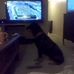 Profile Picture of Joe Mudd (@joe.mudd.399) on Facebook
