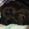 Profile Picture of Devin davidson (@@goodbagel) on Tiktok