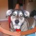 Profile Picture of Pam Keller (@pam.keller.925) on Facebook