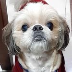 Profile Picture of Charlene Dhea Rodriguez (@chadhearodriguez94) on Instagram