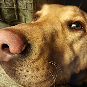 Profile Picture of Justin Conklin (@justinconklin409) on Youtube