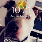 Emma Vivar - Instagram Profile Picture of Emma Vivar (@oscar.vivar.94651) on Instagram