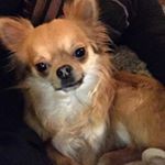 Profile Picture of Brad.house.13 (@brad.house.13) on Instagram