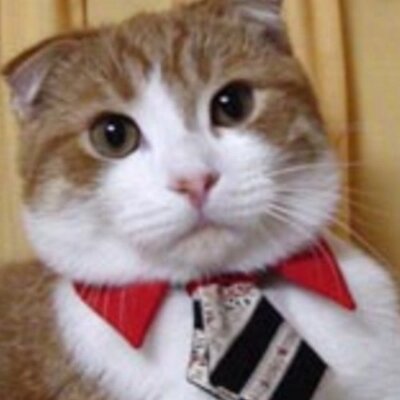 Profile Picture of Matt Neff (@mattneff99) on Twitter