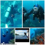 Profile Picture of Shanice (@shanicehsyowens) on Instagram