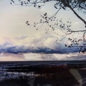 Profile Picture of Savannah Cloud (@savannahcloud) on Pinterest