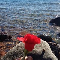 Profile Picture of Lisa Cote (@lisa-cote-21) on Quora