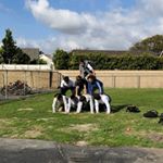 Profile Picture of christopher🤝🥍 (@christopher.howley) on Instagram