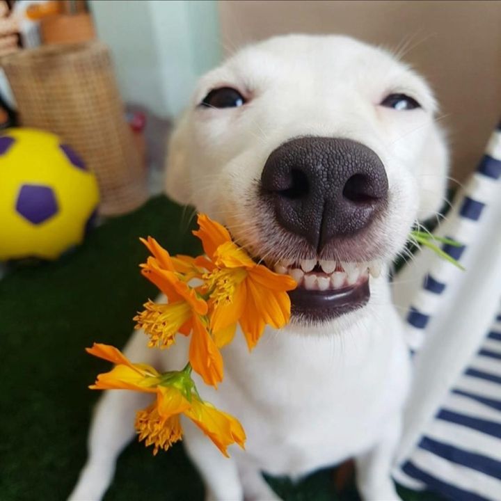 Profile Picture of Andylaolaoa (@andylaolaoa) on Tiktok