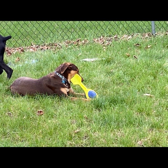 Profile Picture of Brittney Simon (@brittneysimo215) on Poshmark