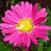 Profile Picture of Tamara Carroll (@tamarac1087) on Pinterest