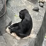 Profile Picture of Austin Kempen (@Austin-Kempen) on Facebook