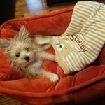 Profile Picture of Amanda Wickstrom (@shelby_lynns_boutique_) on Instagram