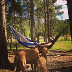 Profile Picture of aaron hammons (@aaronhammons) on Flickr