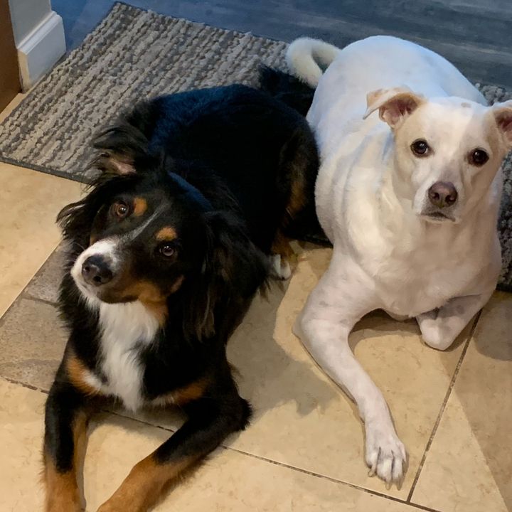 Profile Picture of Brendan Hines (@goasthunter37104) on Tiktok