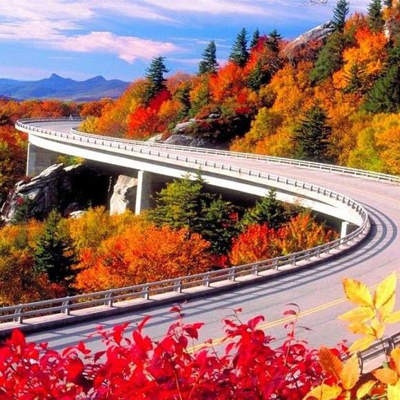 Profile Picture of Nhi Huynh (@manhnhius) on Poshmark