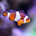 Profile Picture of William Clardy (@clardy0808) on Pinterest