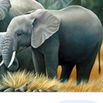 Profile Picture of om raikwar (@omraikwar9) on Instagram