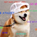 Profile Picture of Mathew Gonzalez (@matt27481) on Instagram