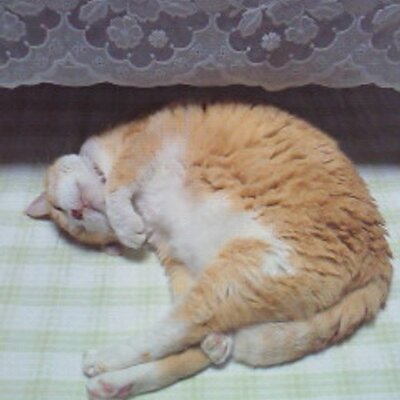 Profile Picture of 志乃 (@andy816shino) on Twitter