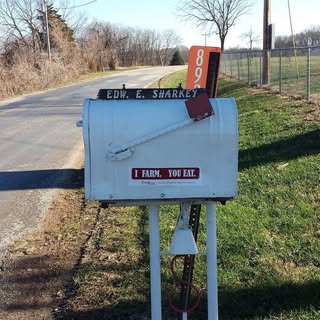 Profile Picture of Darin Sharkey (@darinsharkey) on Instagram