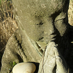 Profile Picture of Ganesha Photography (@ganesha_photography) on Flickr