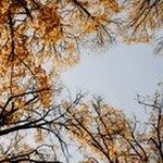 felix jung - Instagram Profile Picture of felix jung (@felixjutng) on Instagram