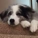 Profile Picture of Ralph Strange (@rafsmail) on Pinterest
