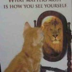 Profile Picture of Mark James Jah Brett (@gingerjah) on Instagram